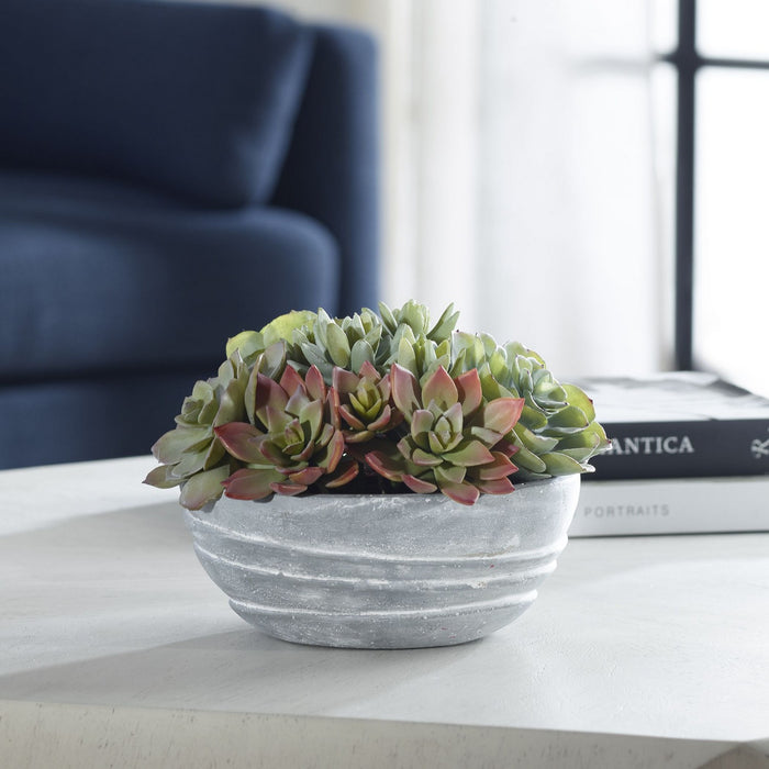 Uttermost 60212 Succulent Accent, Green And Burgundy Tones