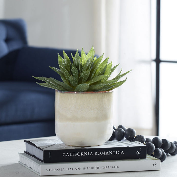 Uttermost 60213 Succulent Accent, Green And Burgundy