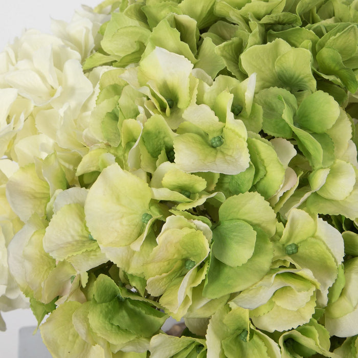 Uttermost 60219 Bouquet, White