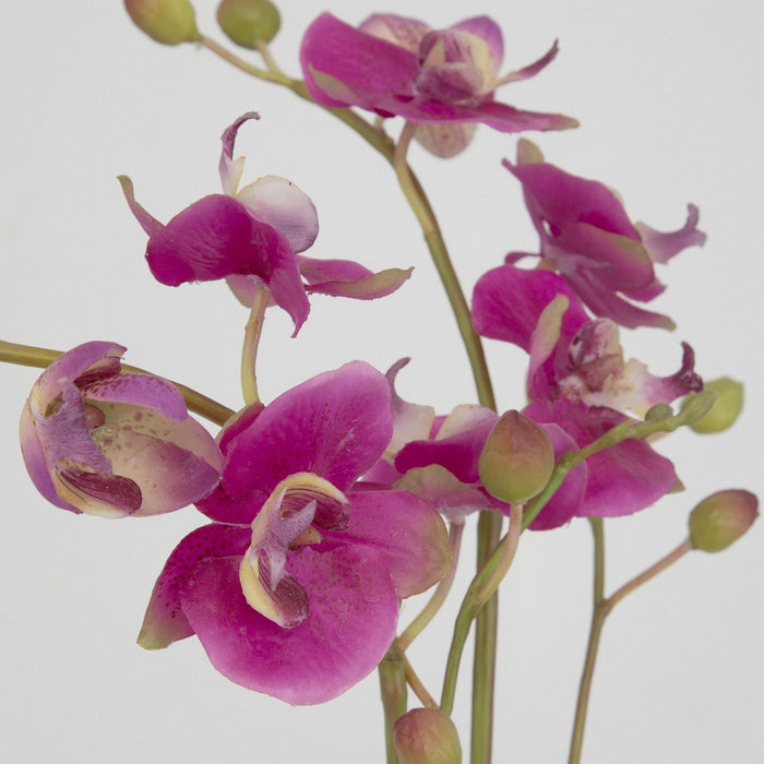 Uttermost 60220 Orchid, Fuchsia