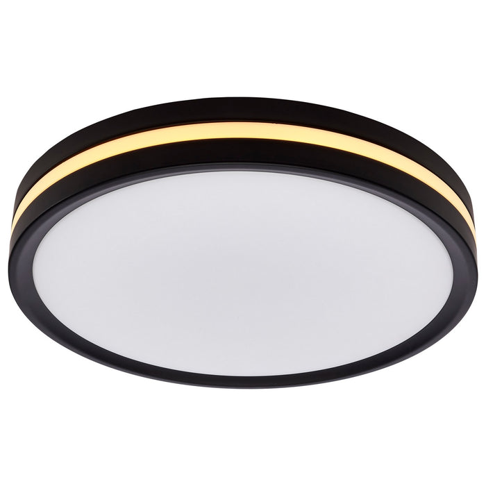 Nuvo Lighting 62-1691 LED Flush Mount, Matte Black