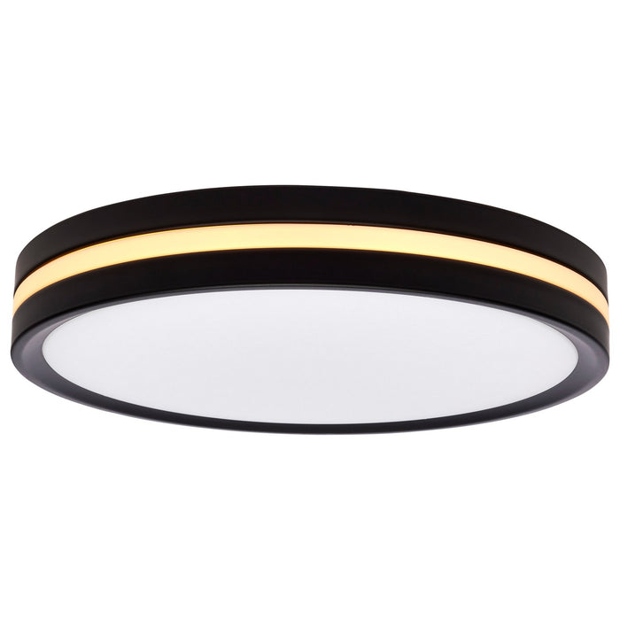 Nuvo Lighting 62-1691 LED Flush Mount, Matte Black