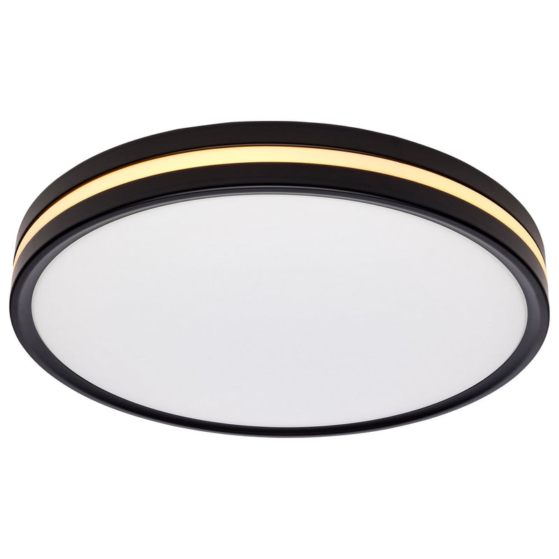 Nuvo Lighting 62-1693 LED Flush Mount, Matte Black