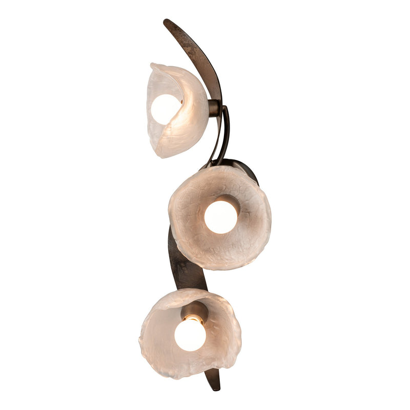 Hubbardton Forge 201060-SKT-07-FD0791 LED Wall Sconce/Semi-Flush, Dark Smoke