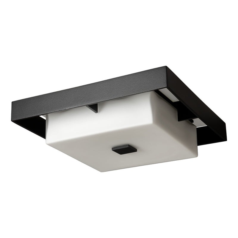 Hubbardton Forge 363100-SKT-80-78-GG0784 Two Light Outdoor Flush Mount, Coastal Black
