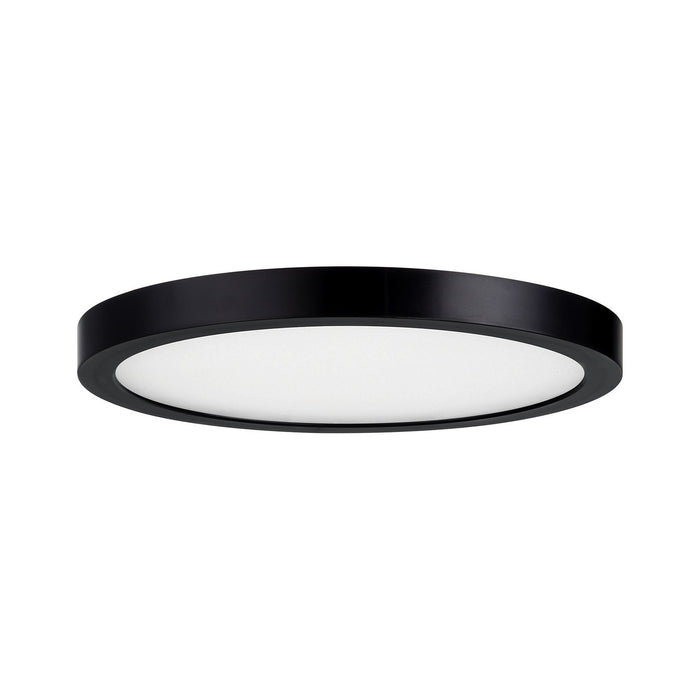 Savoy House 6-3333-10-BK LED Flush Mount, Black
