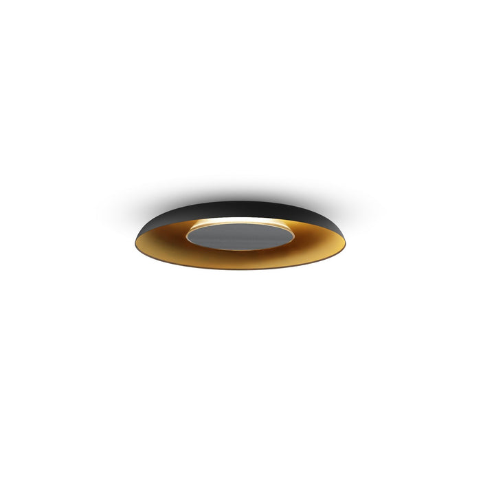 Koncept RMW-09-SW-BNI-HW+18BD-MBG LED Wall Sconce, Matte Black w/ Gold