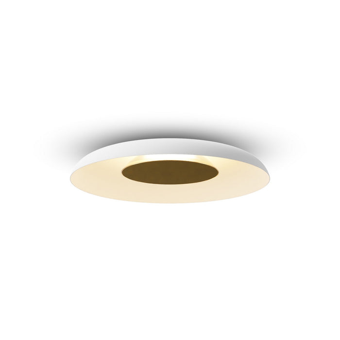 Koncept RMW-12-SW-BRS-HW+24BD-MWT LED Wall Sconce, Matte White