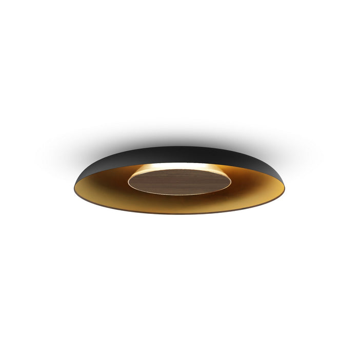 Koncept RMW-12-SW-OWT-HW+24BD-MBG LED Wall Sconce, Matte Black w/ Gold