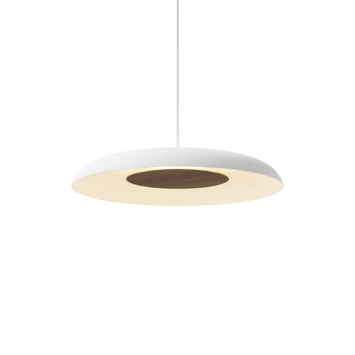 Koncept RMW-12-SW-OWT-HW+24BD-MWT LED Wall Sconce, Matte White