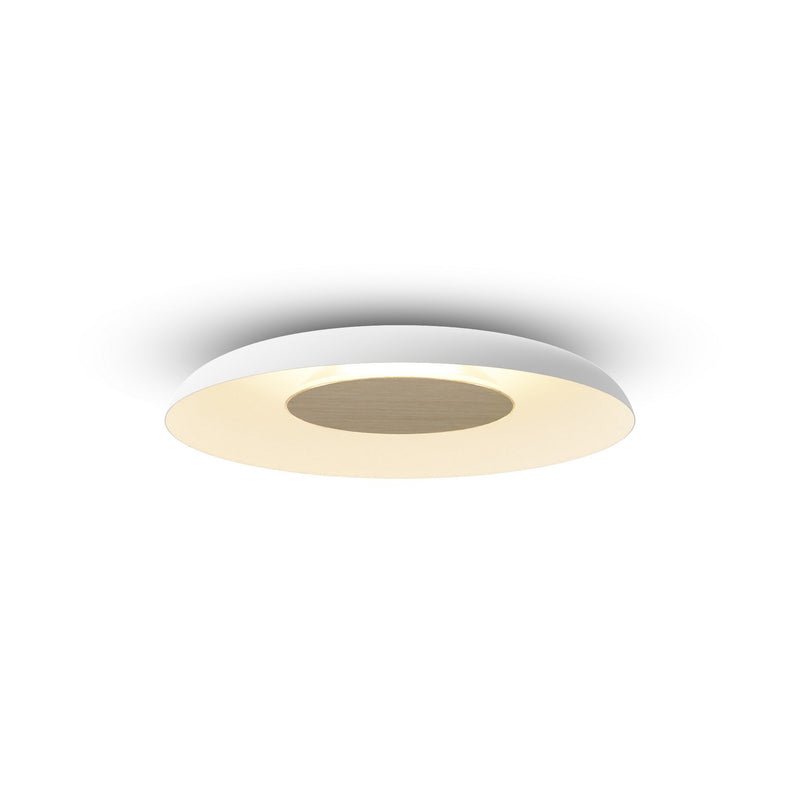 Koncept RMW-12-SW-WOK-HW+24BD-MWT LED Wall Sconce, Matte White
