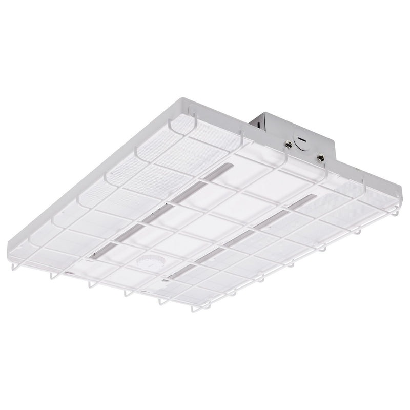 Nuvo Lighting 65-1016 Cage