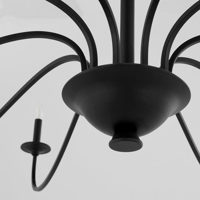 Quorum 6021-10-59 Ten Light Chandelier, Matte Black