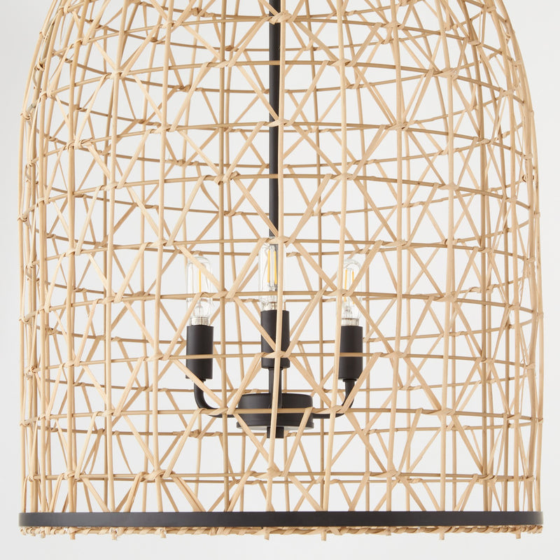 Quorum 6902-3-59 Three Light Pendant, Matte Black