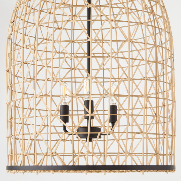 Quorum 6902-3-59 Three Light Pendant, Matte Black