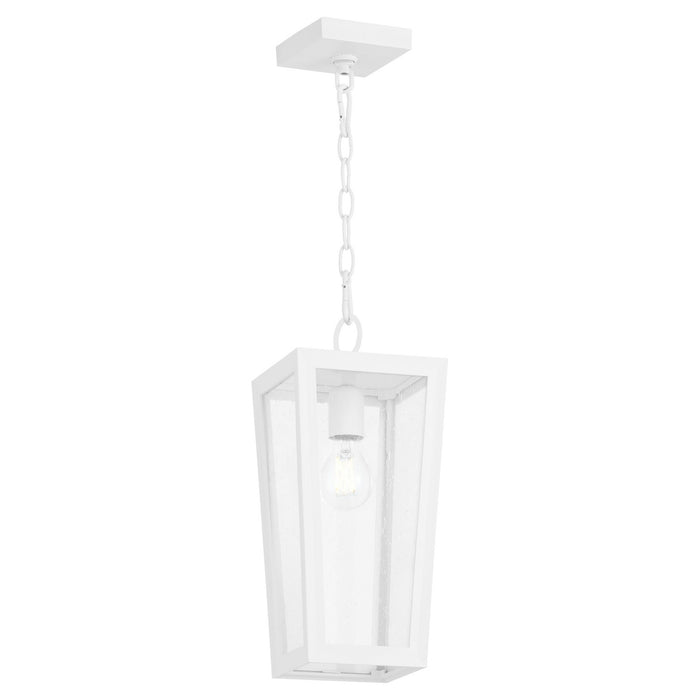 Quorum 716-6-6 One Light Pendant, White