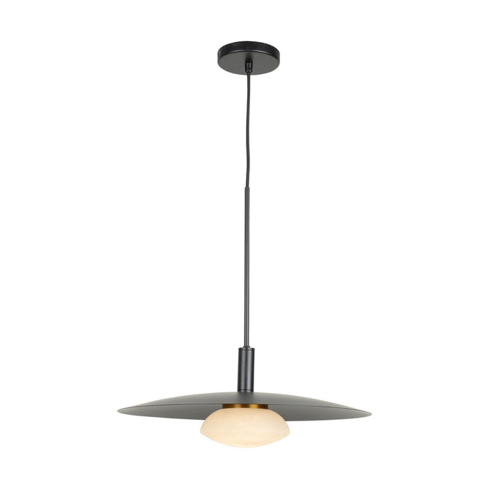 Artcraft AC7460BK LED Pendant, Black
