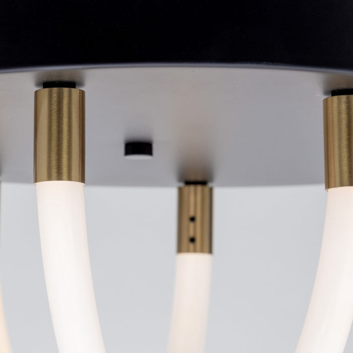 Artcraft AC6811BK LED Flush Mount, Black and Brushed Brass