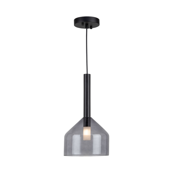 Artcraft AC11951BK One Light Pendant, Black