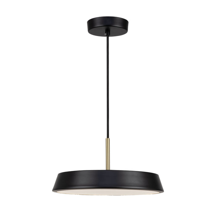 Artcraft AC6900BK LED Pendant, Black