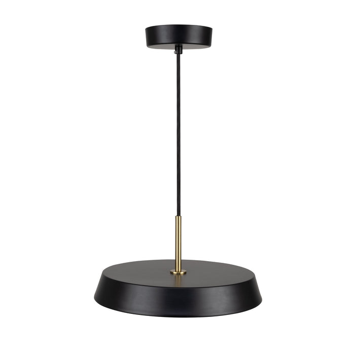 Artcraft AC6900BK LED Pendant, Black