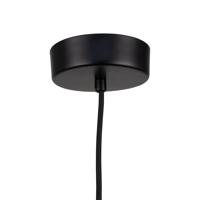 Artcraft AC6900BK LED Pendant, Black