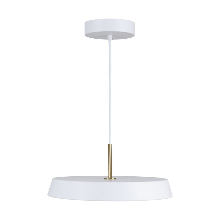 Artcraft AC6900WH LED Pendant, White