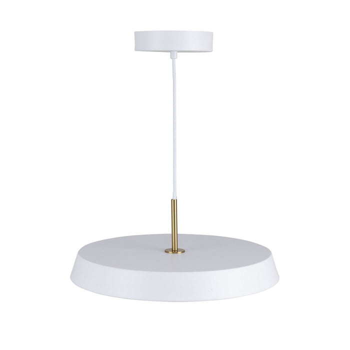 Artcraft AC6900WH LED Pendant, White