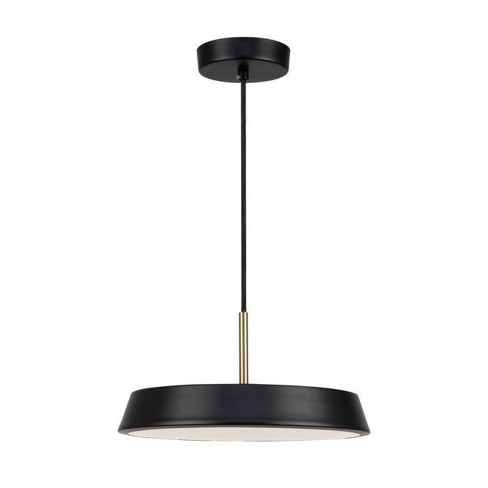 Artcraft AC6901BK LED Pendant, Black