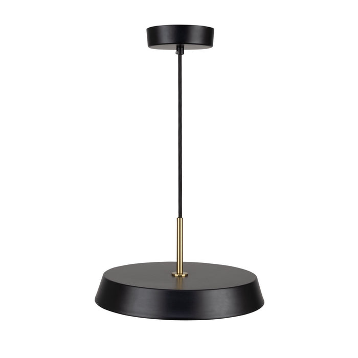 Artcraft AC6901BK LED Pendant, Black