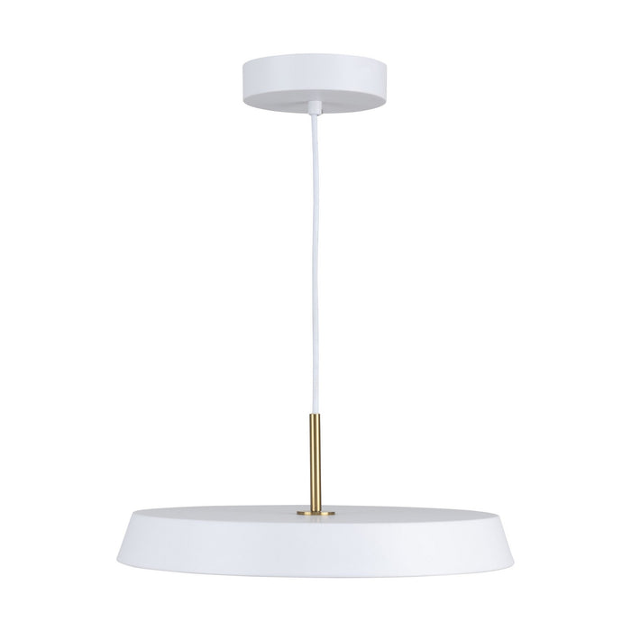 Artcraft AC6901WH LED Pendant, White