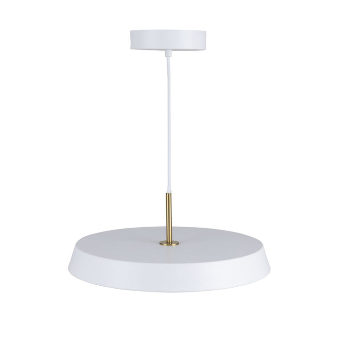 Artcraft AC6901WH LED Pendant, White
