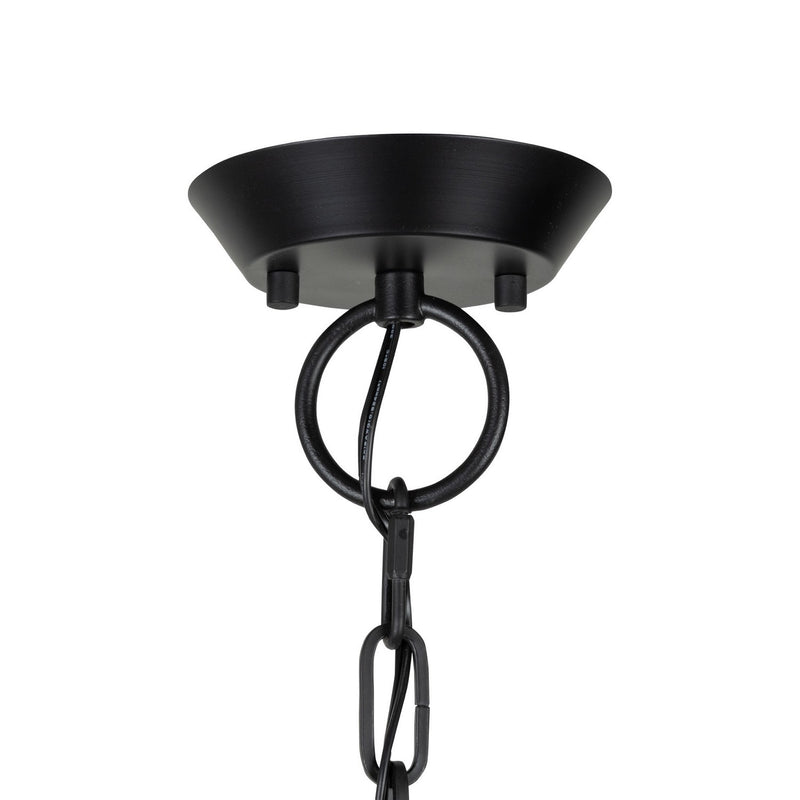 Artcraft AC11985BB 15 Light Chandelier, Black and Brushed Brass