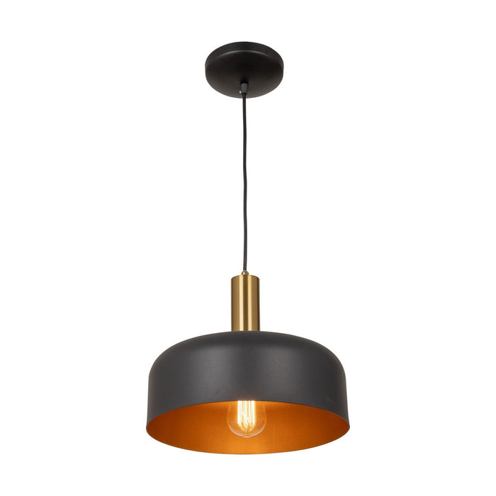 Artcraft AC7421BB One Light Pendant, Black and Brushed Brass