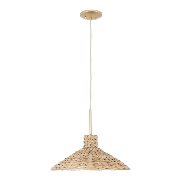 Varaluz 502P01MFGN One Light Pendant, French Gold/Natural Seagrass
