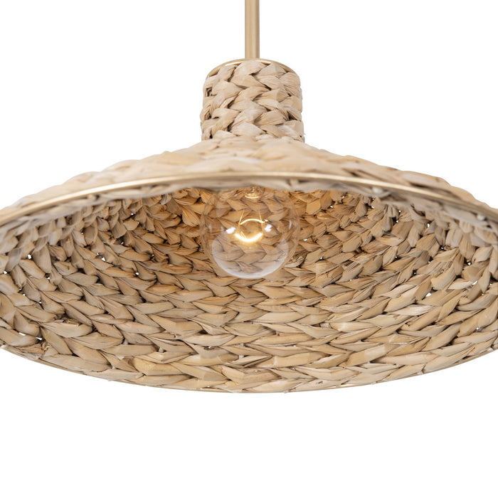 Varaluz 502P01MFGN One Light Pendant, French Gold/Natural Seagrass