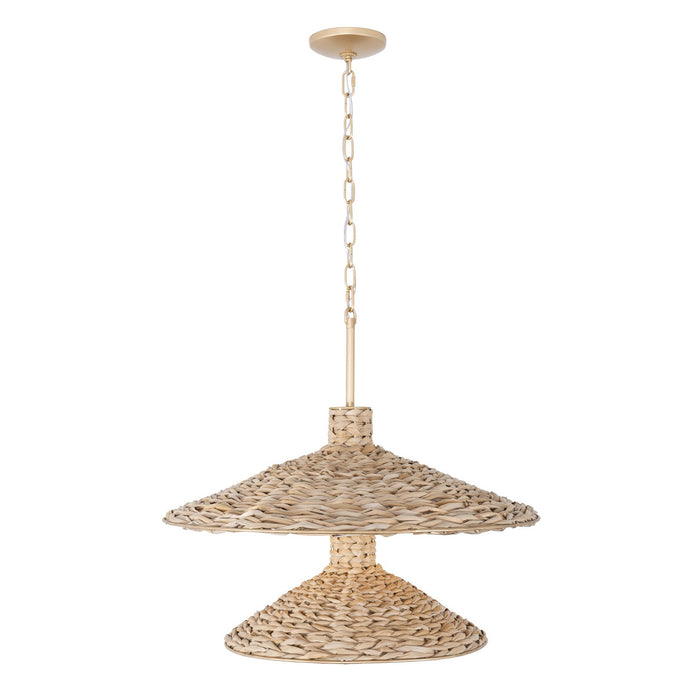 Varaluz 502P09FGN Nine Light Pendant, French Gold/Natural Seagrass