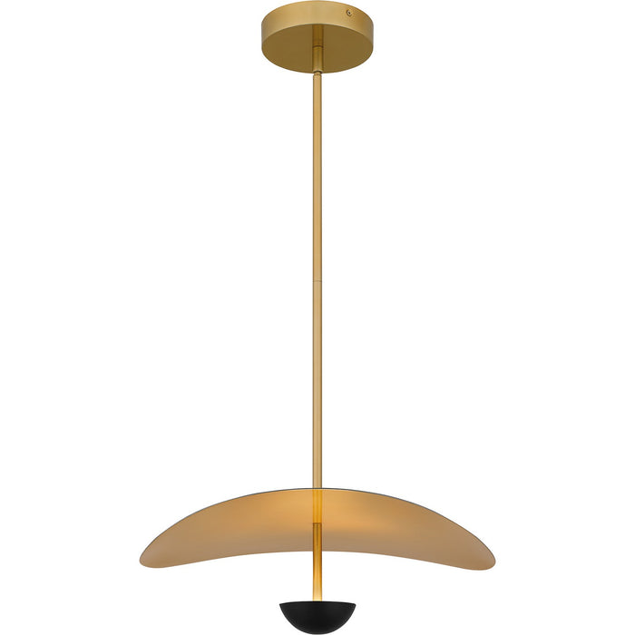 Quoizel PCAZR2818MBK LED Pendant, Matte Black