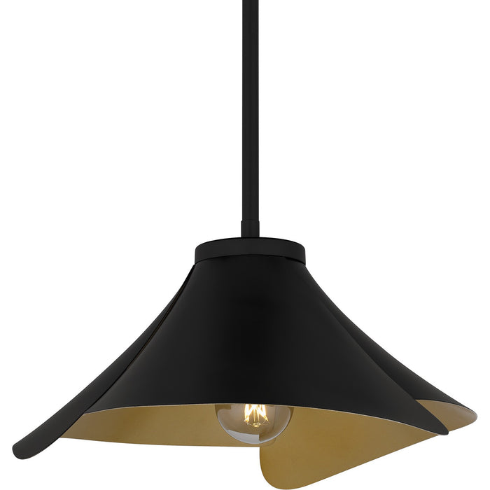 Quoizel QP6747MBK One Light Pendant, Matte Black