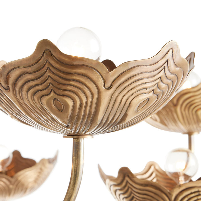 Arteriors DLI06 Eight Light Chandelier, Antique Brass/Antique Brass