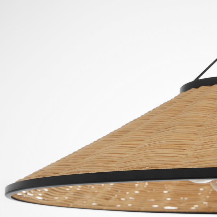 Quorum 830-3-59 Three Light Pendant, Matte Black