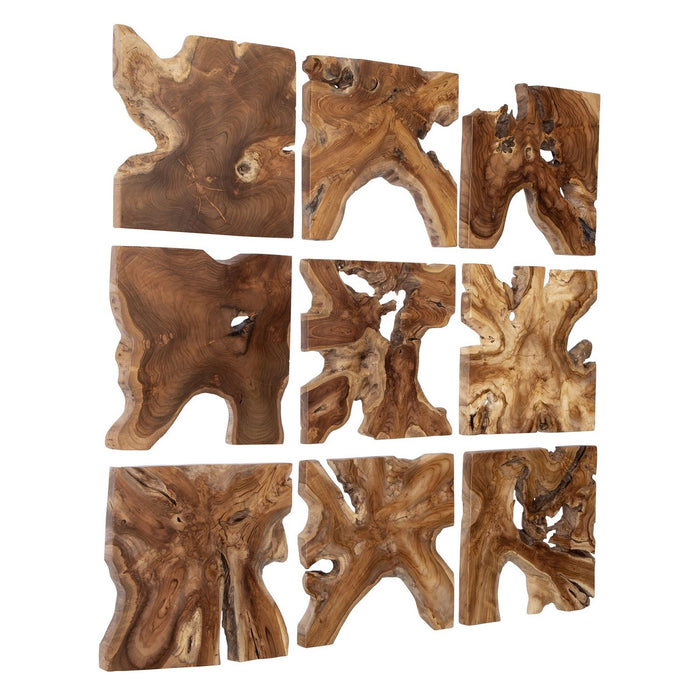 Uttermost 04379 Wall Decor Set/9, Natural Teak Wood
