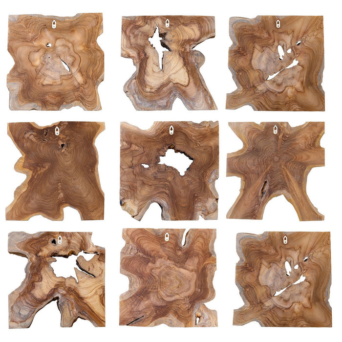 Uttermost 04379 Wall Decor Set/9, Natural Teak Wood
