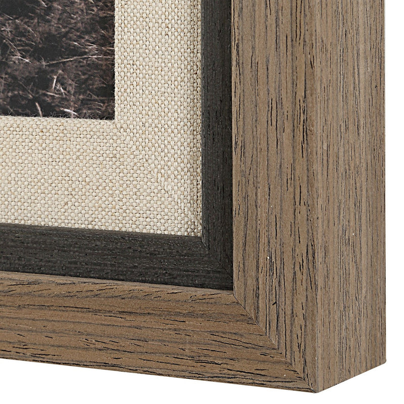 Uttermost 32391 Framed Print
