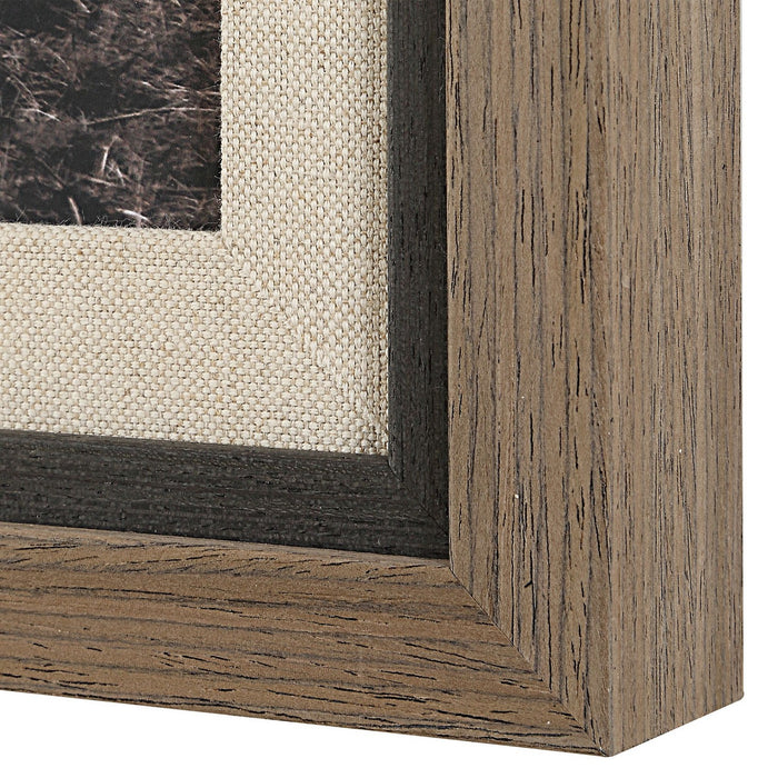 Uttermost 32391 Framed Print