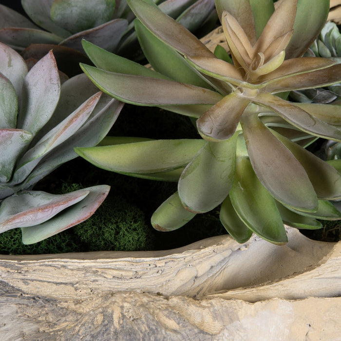 Uttermost 60233 Succulents, Natural