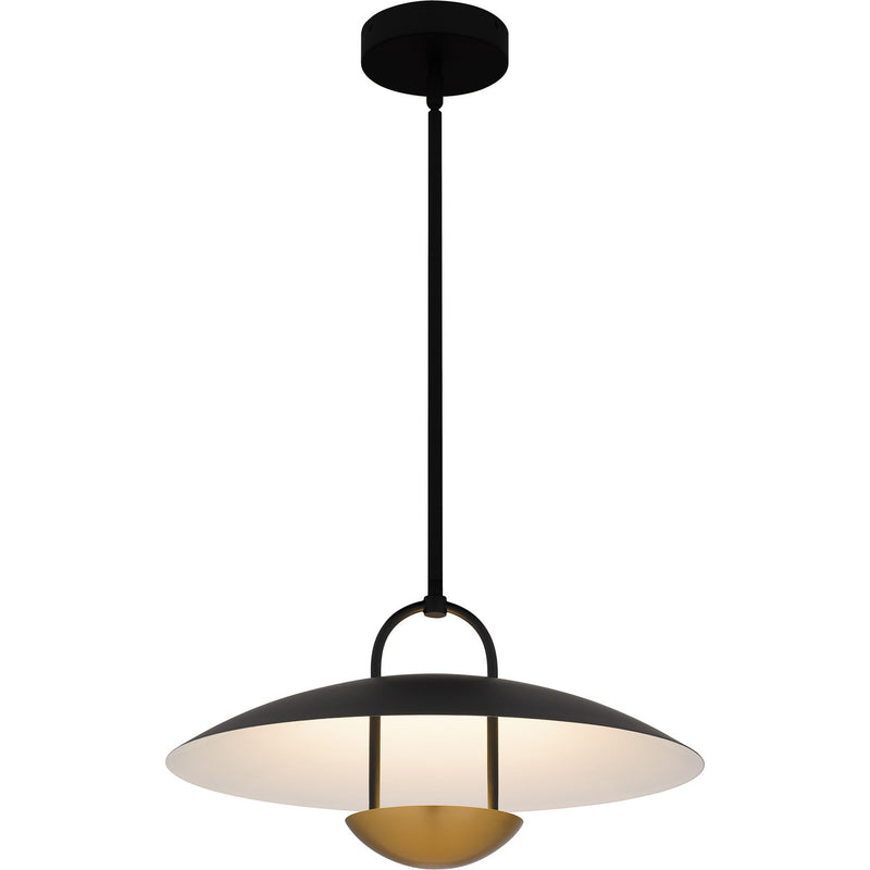 Quoizel BIN2818MBK LED Pendant, Matte Black