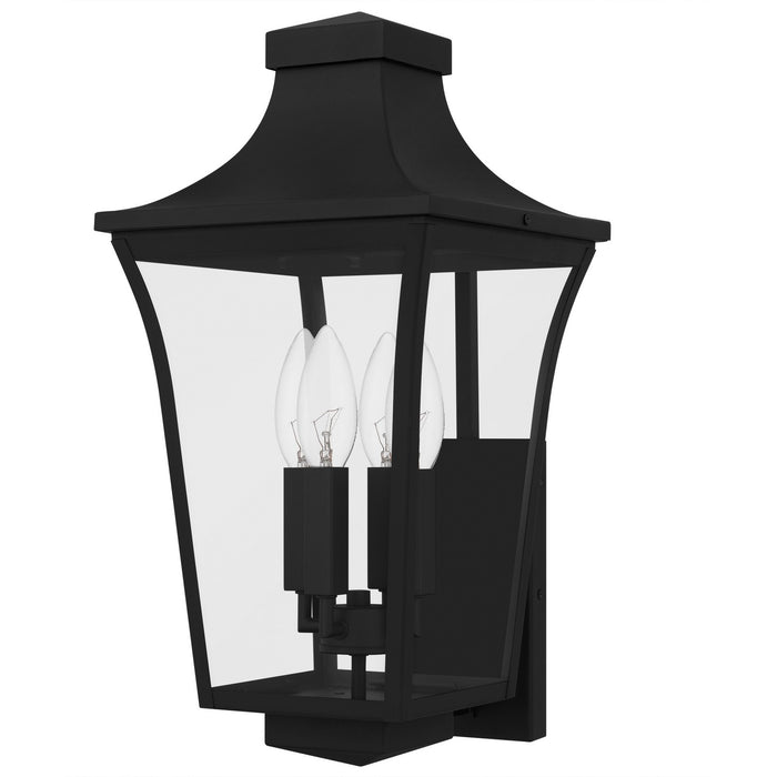 Quoizel QTN8410EK Four Light Outdoor Wall Lantern, Earth Black