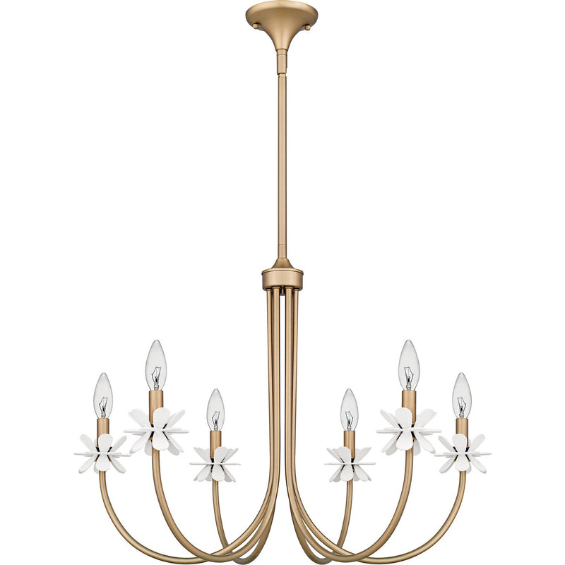 Quoizel REY5030BGD Six Light Chandelier, Bronze Gold