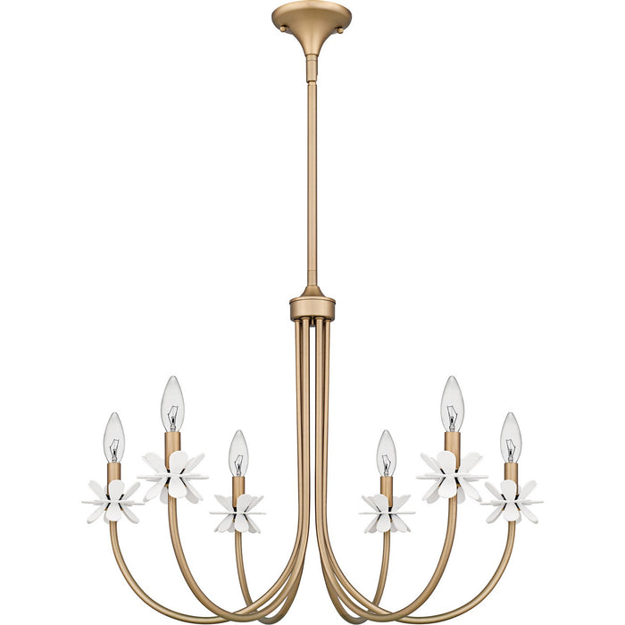 Quoizel REY5030BGD Six Light Chandelier, Bronze Gold